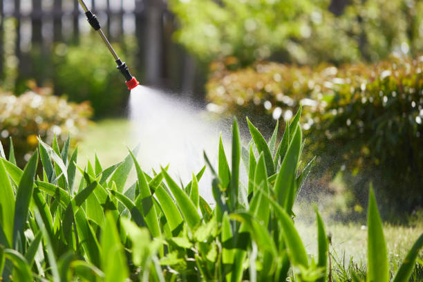 24/7 Emergency Mosquito Control experts in Farmerville, LA